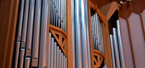 organ