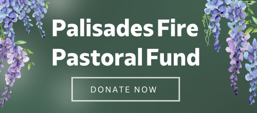 Palisades Fire Pastoral Fund